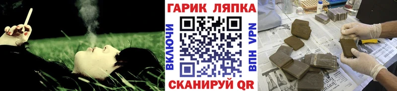ГАШ Cannabis  Купить закладки  Волосово 