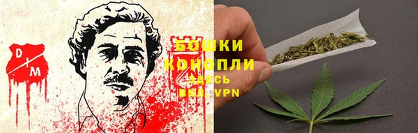 соль ск Верхний Тагил
