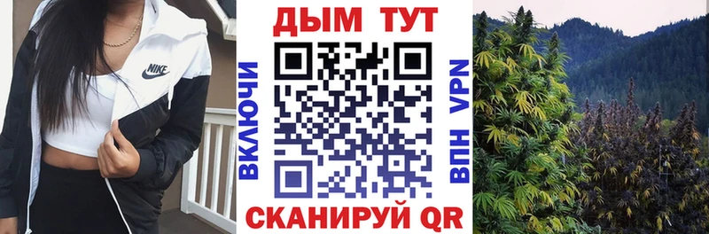 Купить закладки Волосово МАРИХУАНА Ganja